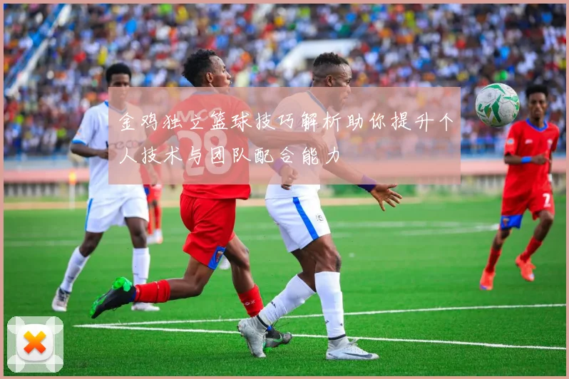 金鸡独立篮球技巧解析助你提升个人技术与团队配合能力