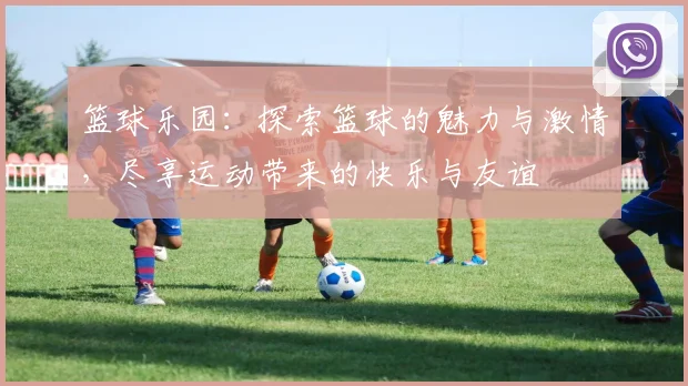 篮球乐园：探索篮球的魅力与激情，尽享运动带来的快乐与友谊
